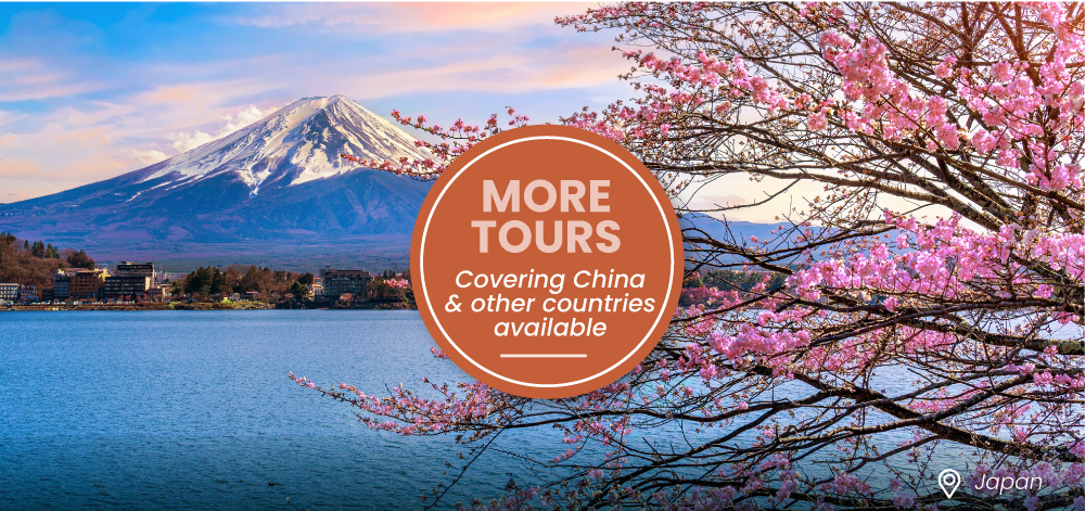 Tours of Japan and China Japan Cherry Blossoms