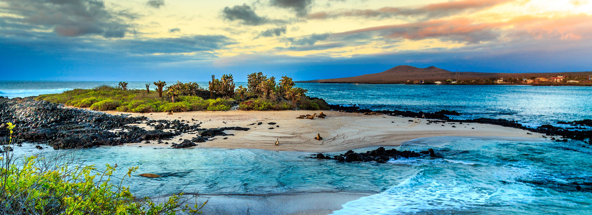 Dreaming of the Galapagos Islands?