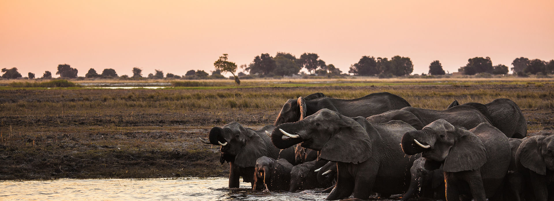 Where to travel to see Africa’s most famous inhabitants
