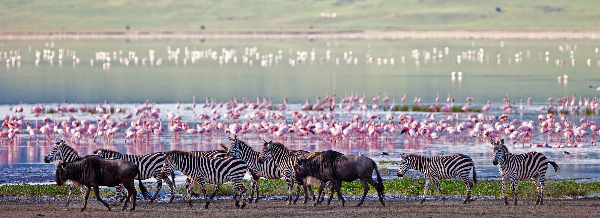 The best East African wildlife reserves Travel Stories Travellers Choice