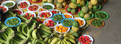 Food Holidays at Home: The Taste of Fiji