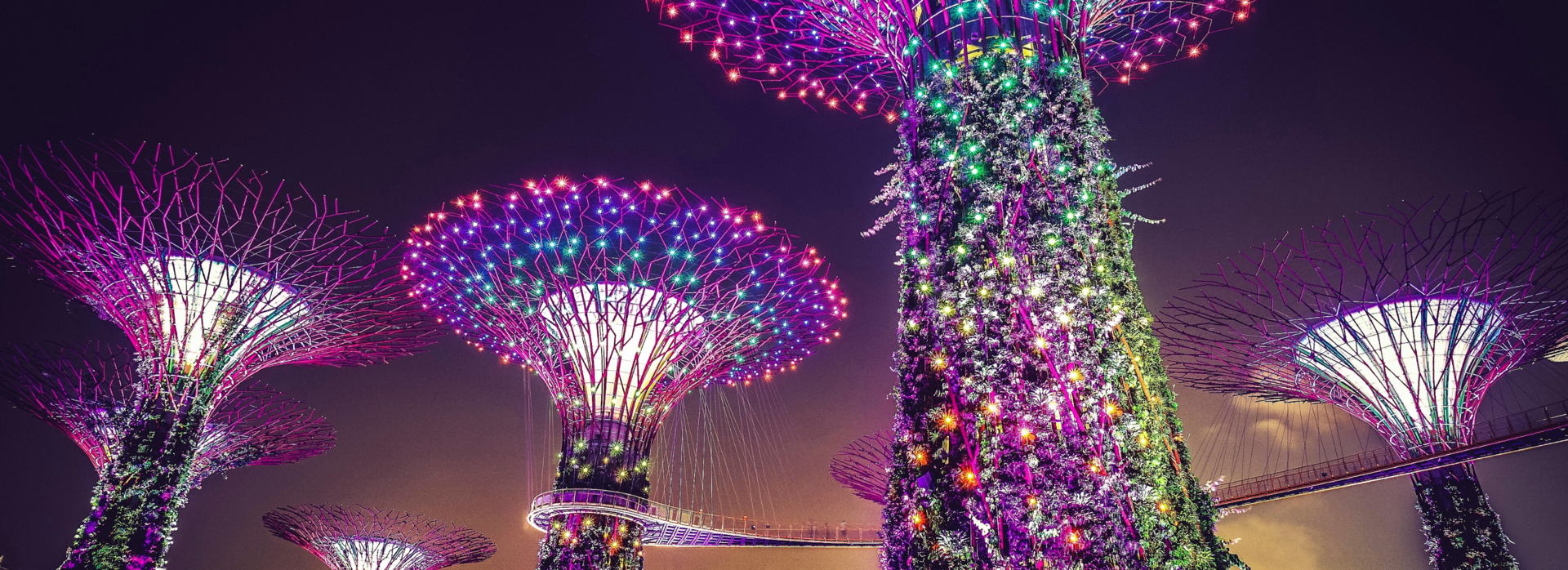 Gardens by the bay in Singapore