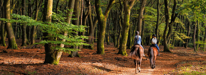 Horseback Journeys Around the World
