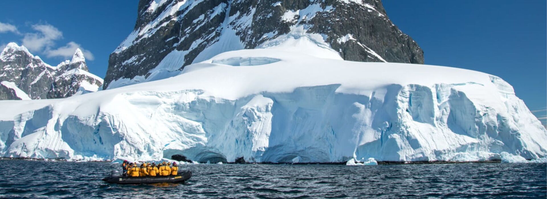 Antarctica Artic Polar bears penguins cruise wildlife northern lights travel guide  