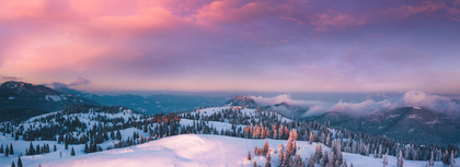 A Year of Winter