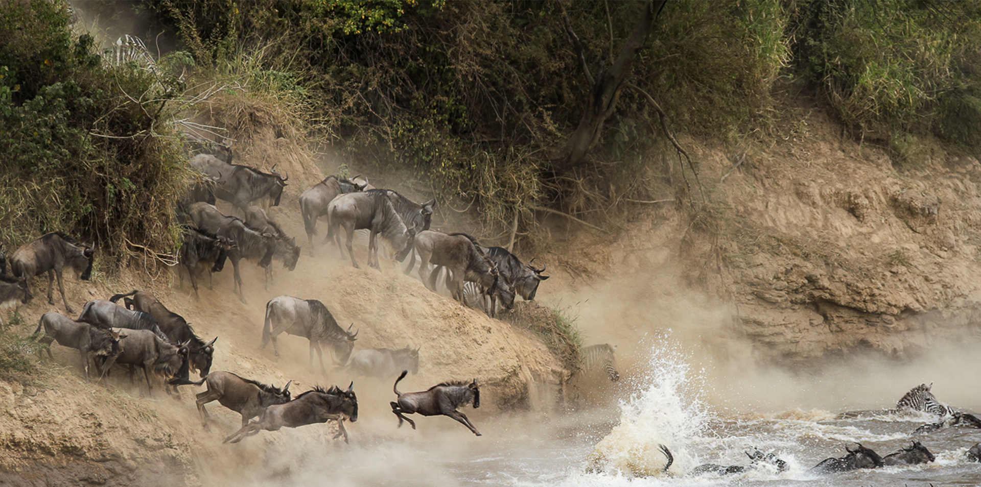 Game Parks of Africa