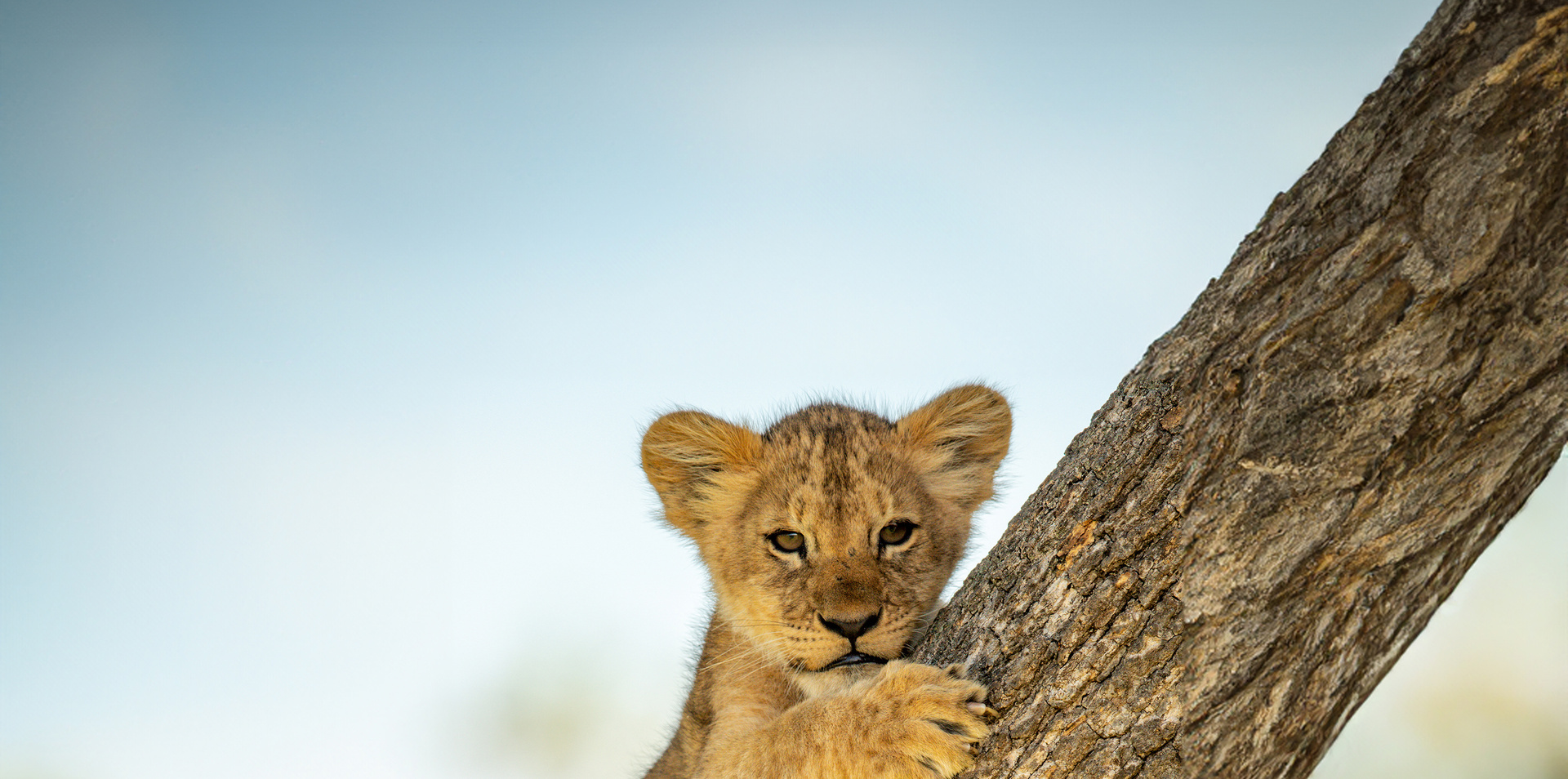 Best of Tanzania & Zanzibar