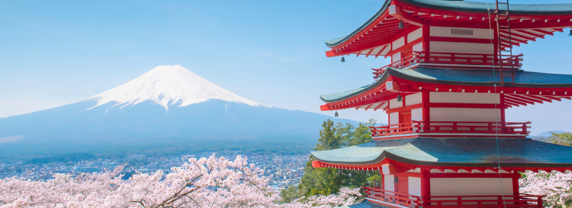 japanese brisbane escort Japanese brisbane escort
